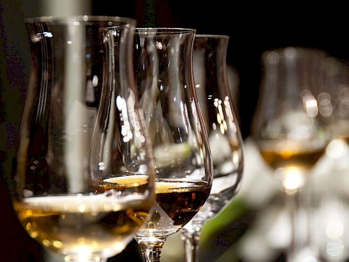 The image shows a row of partially filled wine glasses, likely set up for a tasting event, with blurred background elements and reflections on the glassware.