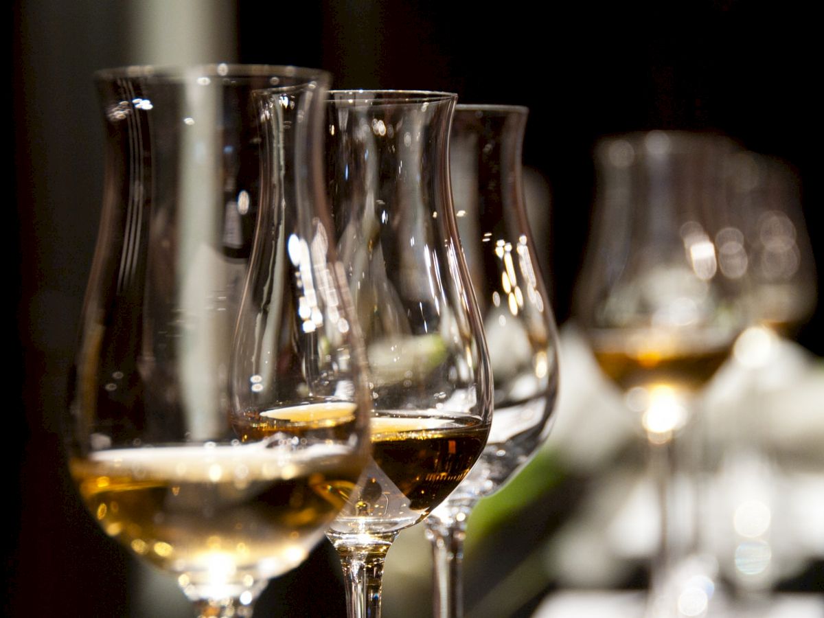 Four wine glasses filled with a golden liquid, possibly white wine, are lined up in a row against a blurred background.