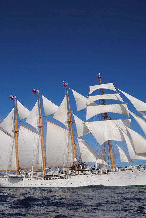 A large white sailing ship with multiple masts and white sails on a calm blue sea under a clear sky, cruising forward confidently.