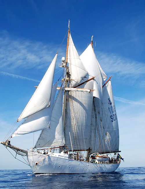 A tall white sailing ship glides on calm blue sea under a clear sky with full sails billowed and crew visible on deck, steering toward the horizon.